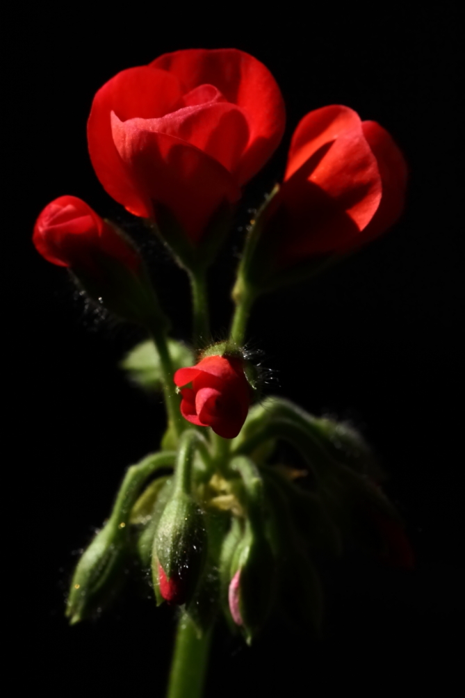 2012 03 06 7762
